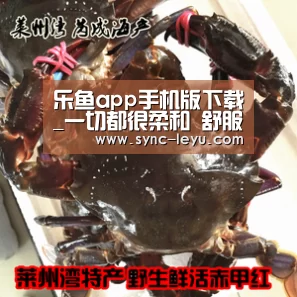 乐鱼app手机版下载